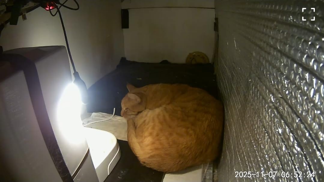 Cozy Products Electric Foot Warmer, Large and Portable Heated Rubber Mat, Personal Space Heater for Home, Office, Garage, and Car, 120 Watts, 8 lbs, 22.95