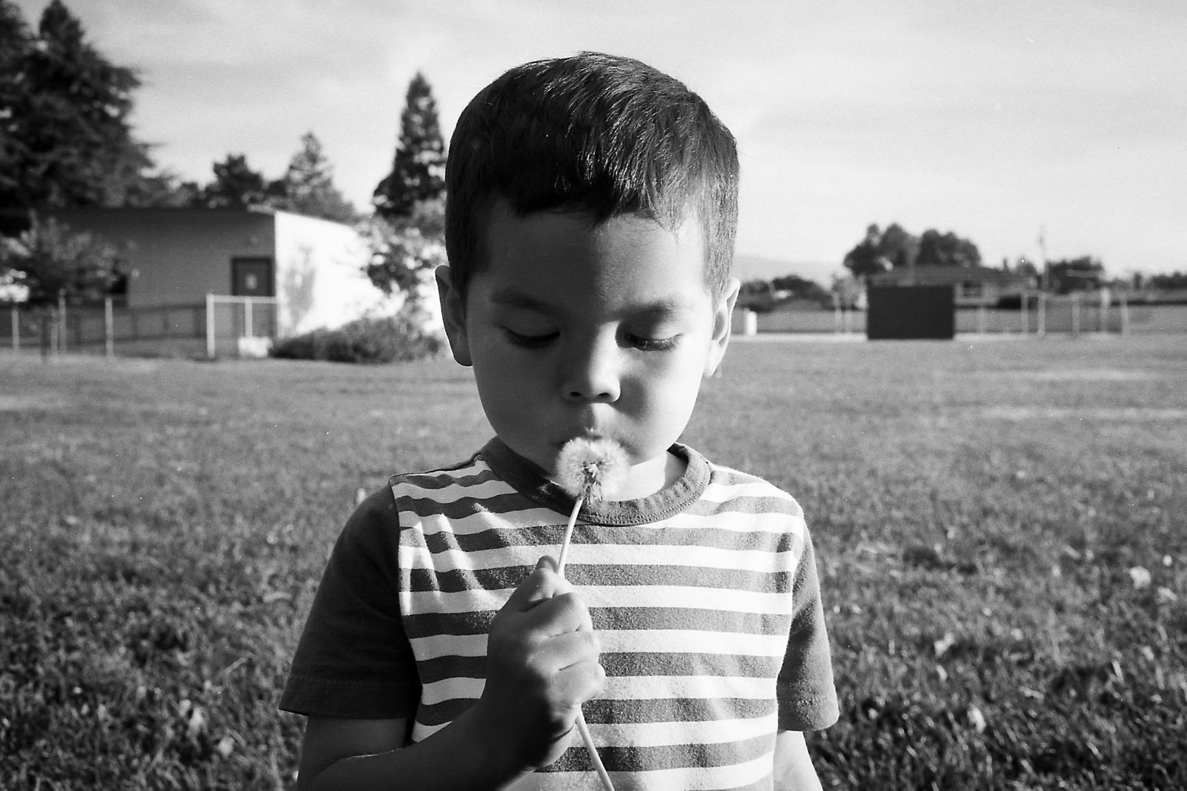 Voigtlander 21mm f4 VM Colour Skopar Lens - Customer Photo 2