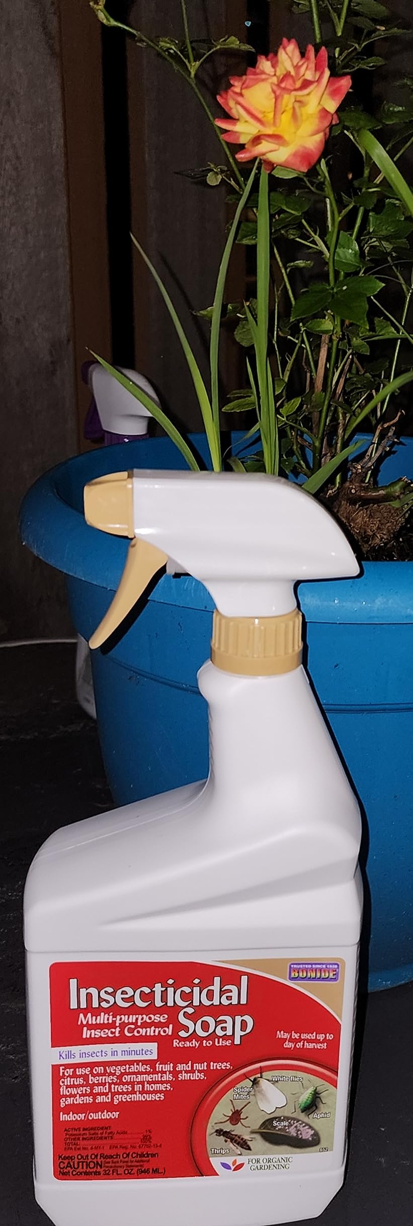 Bonide Insecticidal Soap, 32 oz Ready-to-Use Spray Multi-Purpose Insect Control for Organic Gardening Indoor and Outdoor - Customer Photo 4