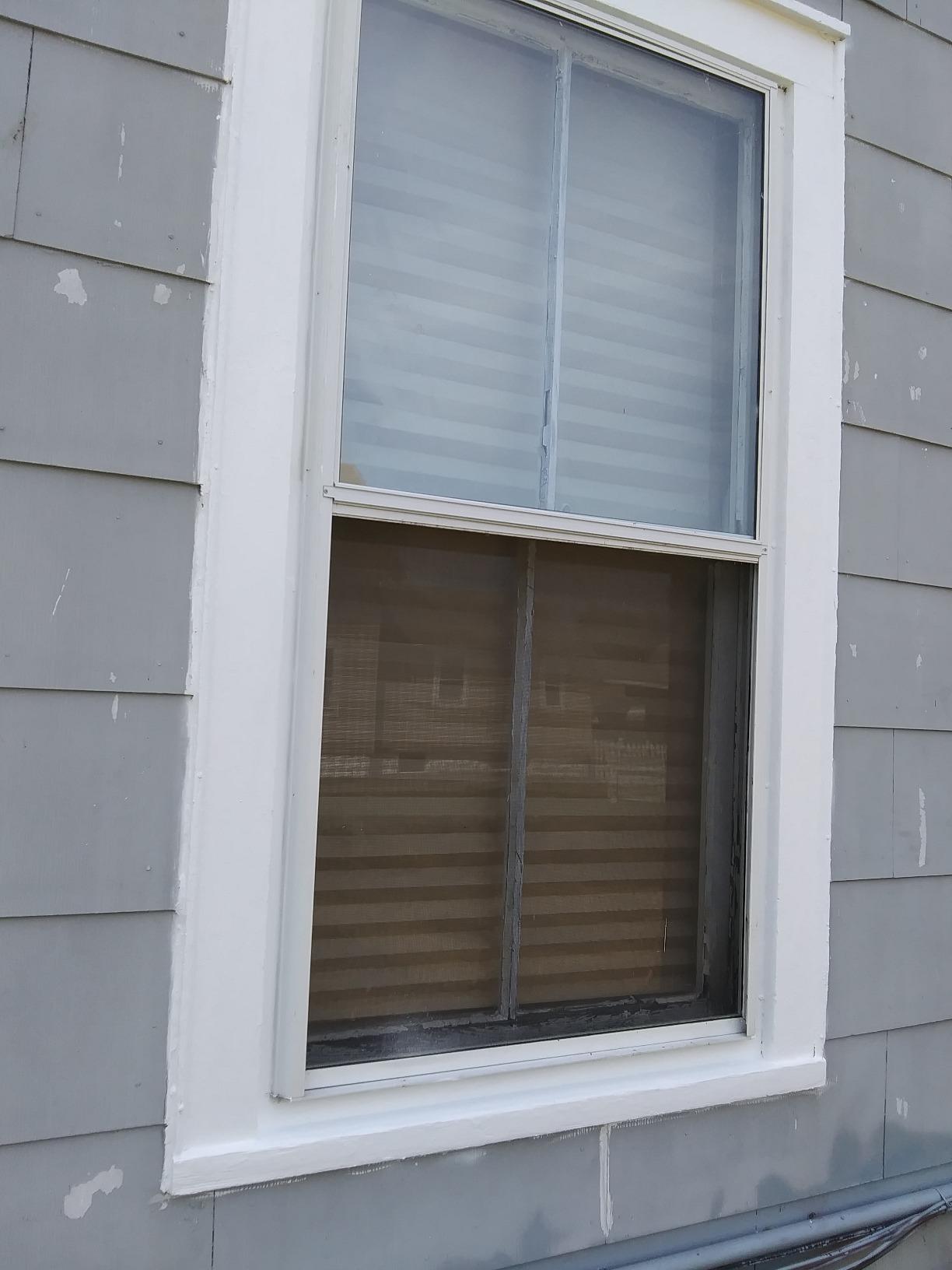 RUST-OLEUM 03101 Exterior Mildew Performance Paint, White - Customer Photo 2