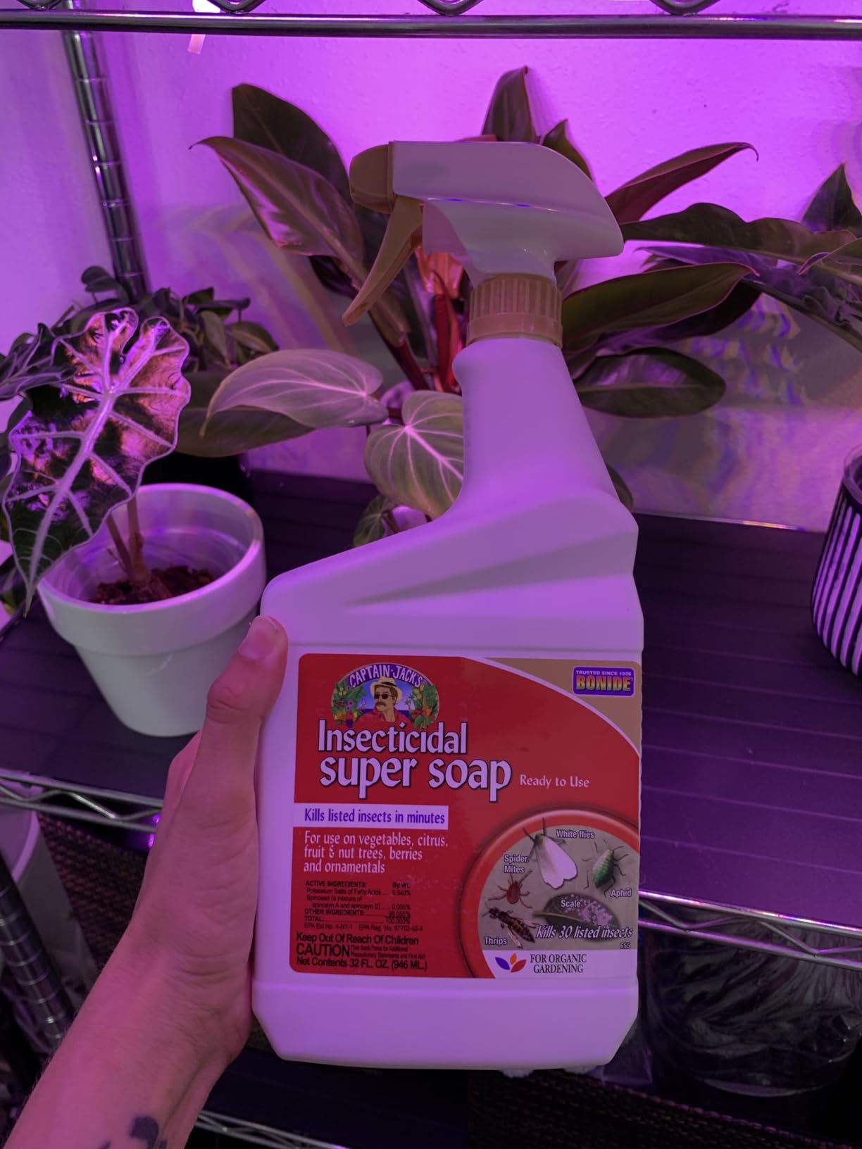 Bonide Captain Jack's Insecticidal Super Soap, 32 oz Ready-to-Use Spray For Organic Gardening and Outdoor Plants - Customer Photo 1