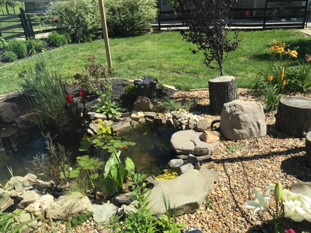 10 Best Koi Pond Kits