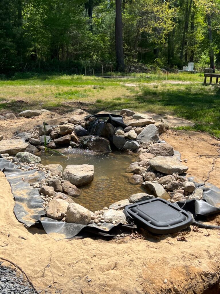 10 Best Koi Pond Kits