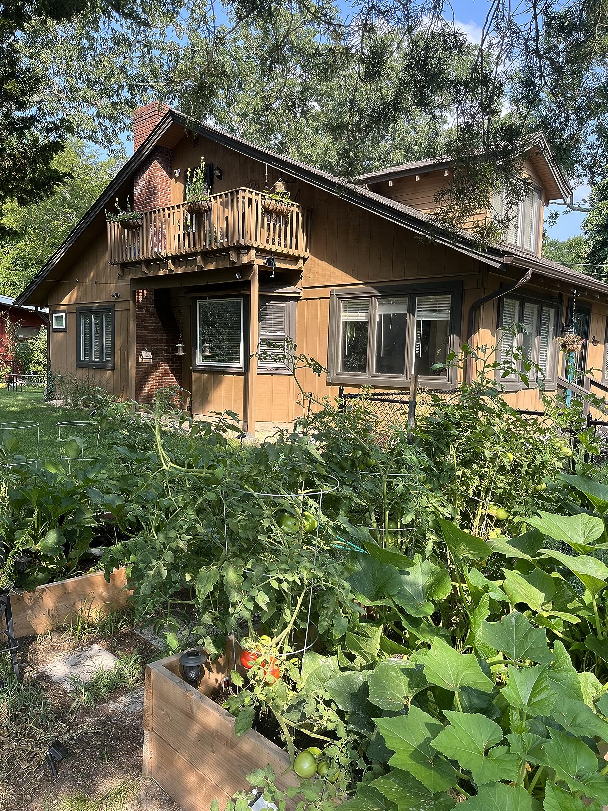 Enviro Pro 1006 Deer Scram Repellent Granular White Pail, 5.75 Pounds - Customer Photo 1