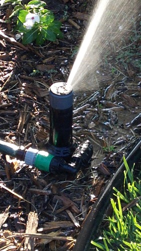 QSK-745 In-Ground 5-Inch Pop-Up Adjustable Sprinkler 5-Pack With Quick Hose Connectors And Splitters - Customer Photo 1