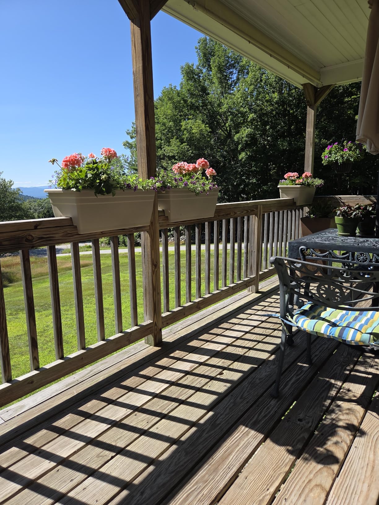 Bonide Repels-All Animal Repellent, 32 oz Ready-to-Use Spray, Outdoor Garden Deer & Rabbit Repellent, People & Pet Safe - Customer Photo 1