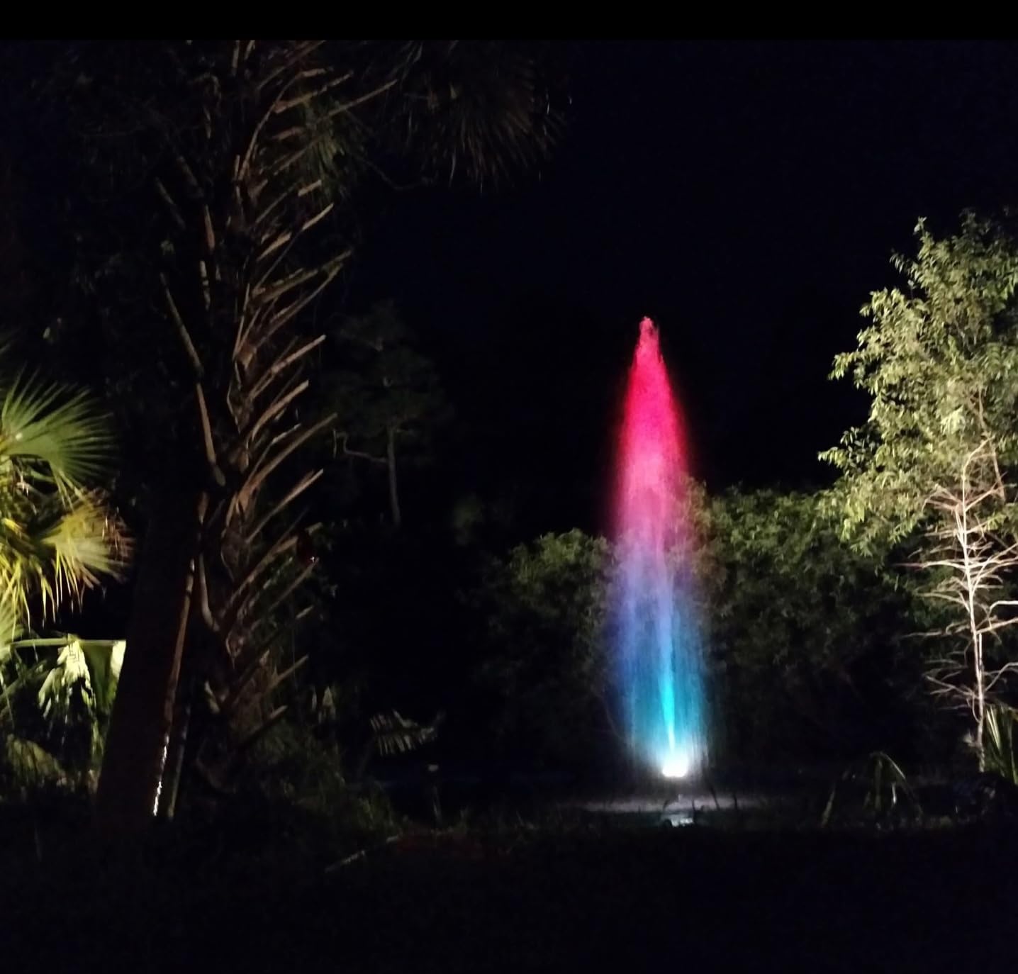 Alpine Corporation PAL5200 | 5200 GPH Submersible Water Pump with 33-ft Cord — Quiet 426W Motor, 25-ft Lift — Multi-Angle Flow for Ponds, Waterfalls & Fountains — Durable & Efficient (Blue) - Customer Photo 1