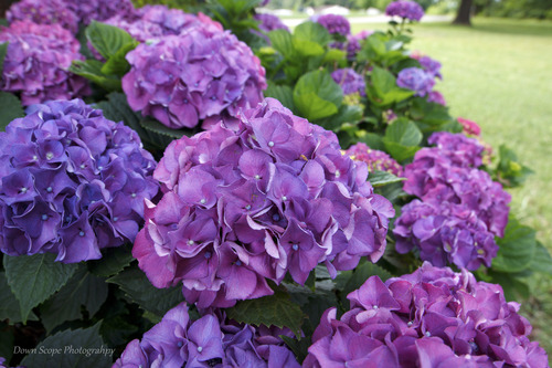 Rokinon FE14M-C 14mm F2.8 Ultra Wide Lens for Canon - Manual Focus, Low Distortion, Wide Aperture, Petal Hood - Customer Photo 1