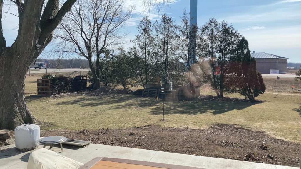 10 Best Mole and Gopher Repellents