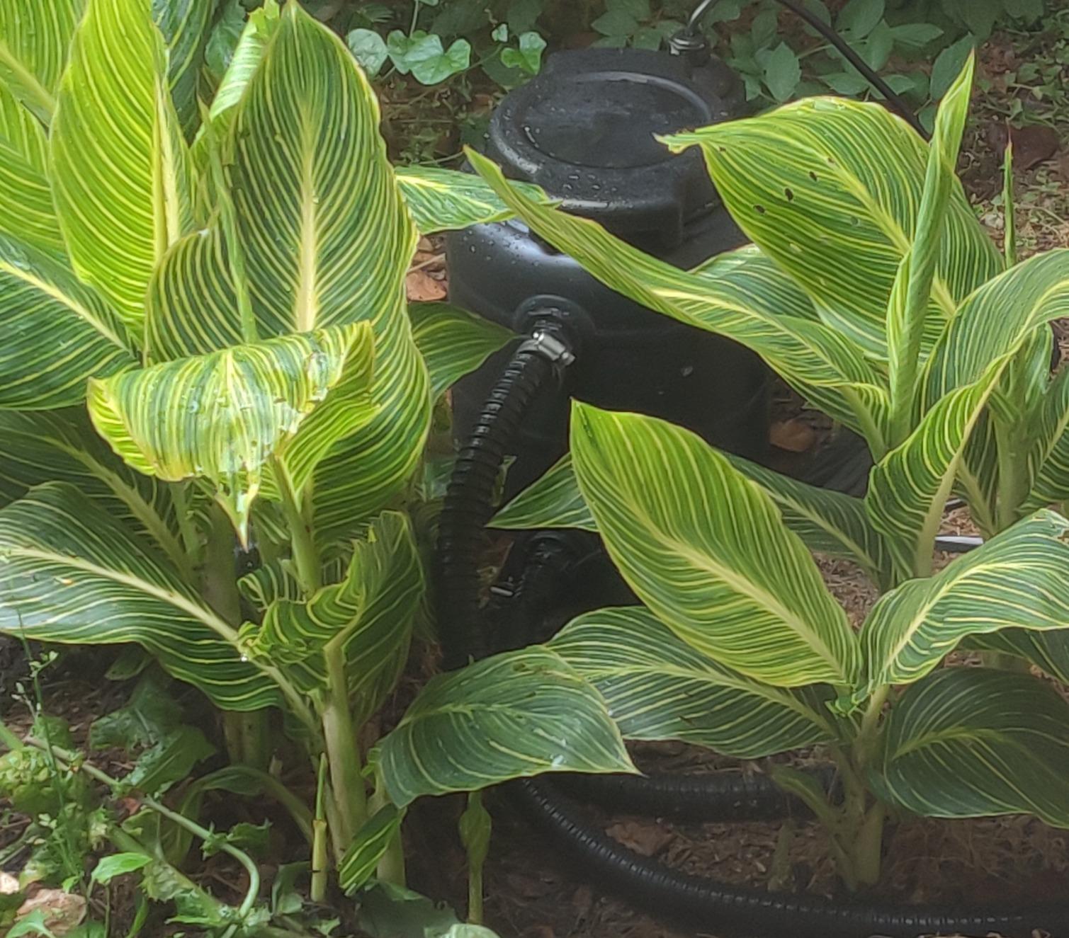 TotalPond Complete Pond Filter with UV Clarifier Black - Customer Photo 2