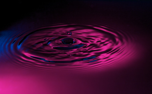 NEEWER TT560 Camera Flash Speedlite Compatible with Canon Sony Nikon Panasonic Olympus Pentax and Other DSLRs, Compatible with Sony ZV1, NOT for ZV-1F, Speedlight with Standard Hot Shoe Mount customer photo 1