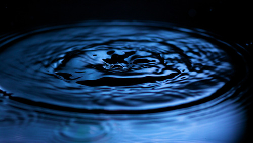 NEEWER TT560 Camera Flash Speedlite Compatible with Canon Sony Nikon Panasonic Olympus Pentax and Other DSLRs, Compatible with Sony ZV1, NOT for ZV-1F, Speedlight with Standard Hot Shoe Mount customer photo 2