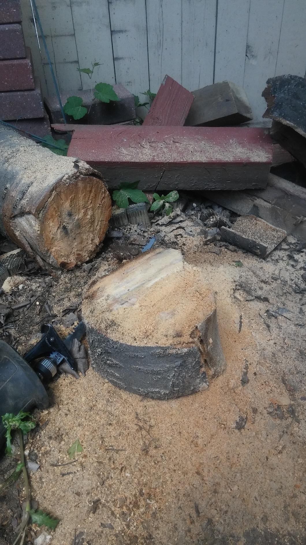 BOSCH RS428 14 Amp Reciprocating Saw - Customer Photo 2