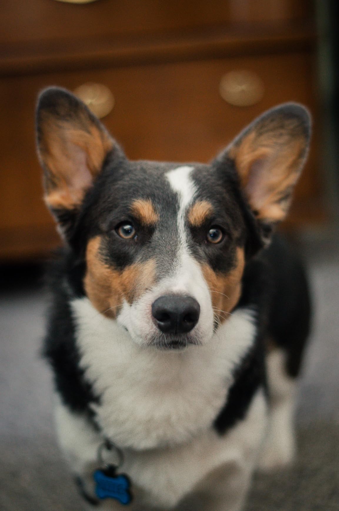 Nikon AF-S FX NIKKOR 50mm f/1.8G Lens with Auto Focus for Nikon DSLR Cameras - Customer Photo 2