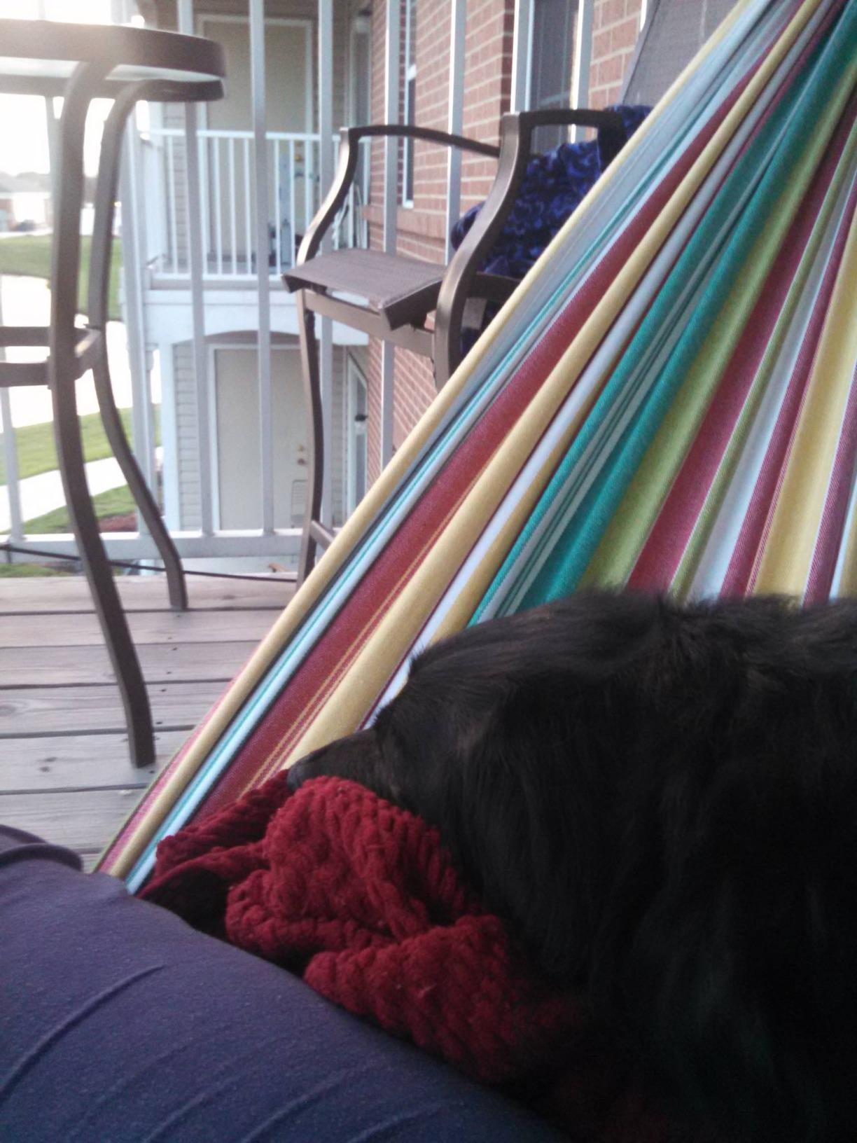 Vivere Double Cotton Hammock with Space Saving Steel Stand, Upgraded Polyester End Strings 450 lb Capacity - Premium Carry Bag Included - (Tropical) - Customer Photo 1