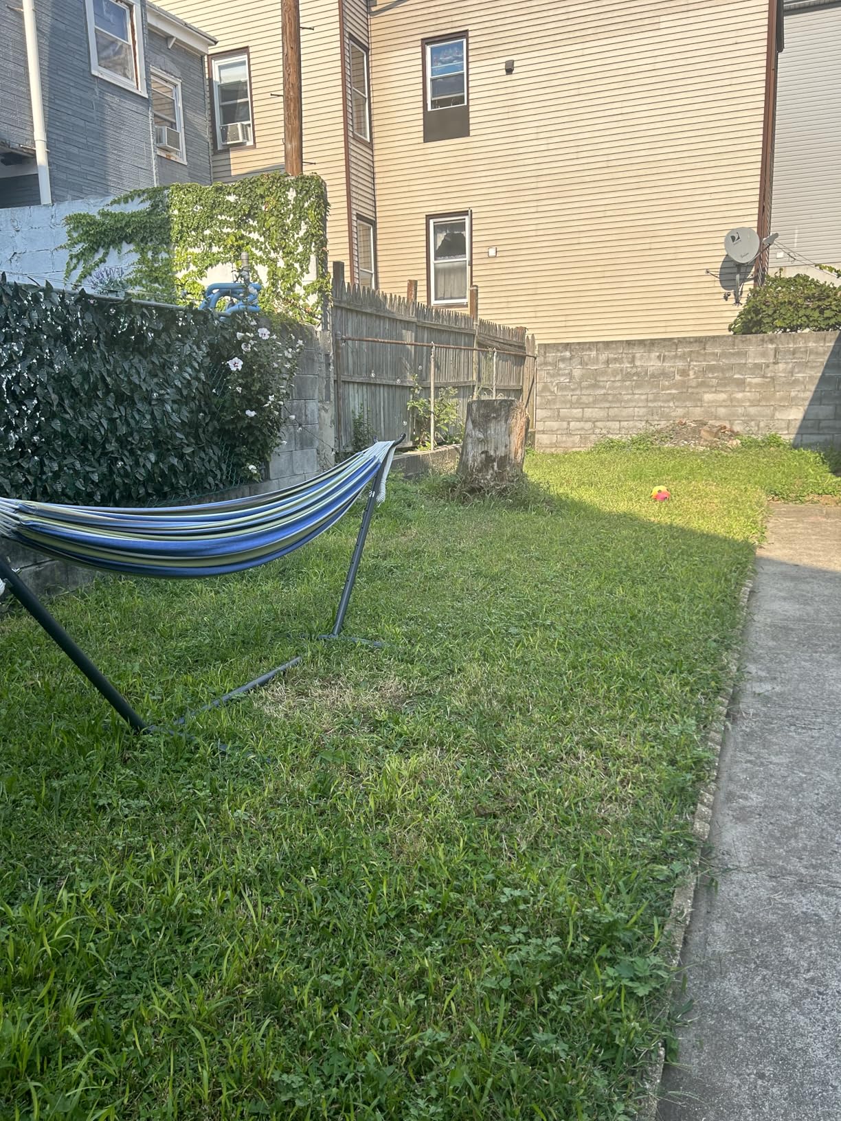 Vivere Double Cotton Hammock with Space Saving Steel Stand, Upgraded Polyester End Strings 450 lb Capacity - Premium Carry Bag Included - (Tropical) - Customer Photo 2