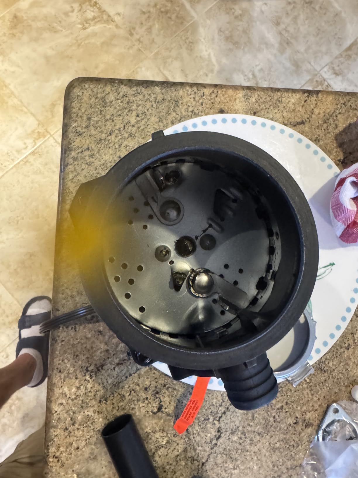 GE Appliances GFC525N Disposer Motor 1/2 HP Continuous Feed Garbage Disposal - Customer Photo 1