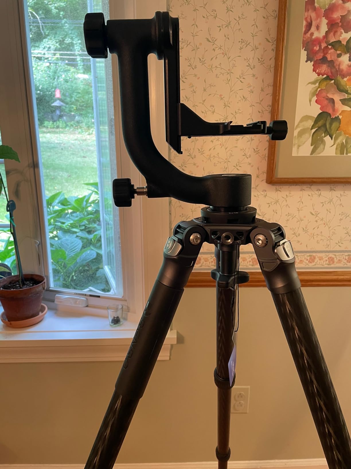 Wimberley WH-200 Wimberley Gimbal Head II - Made in USA - Customer Photo 1