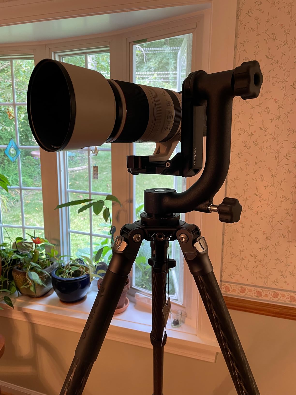 Wimberley WH-200 Wimberley Gimbal Head II - Made in USA customer photo 2