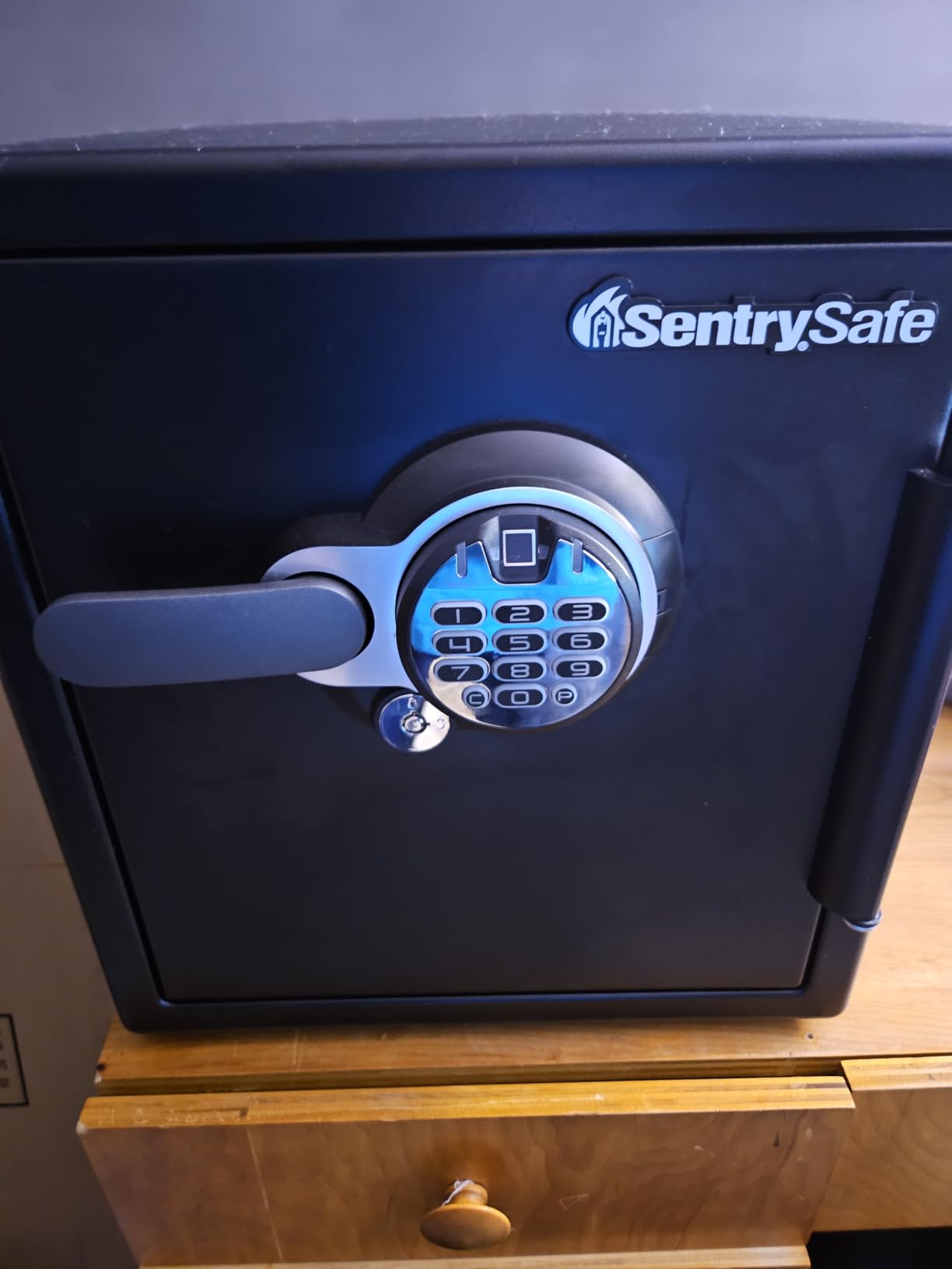 SentrySafe Waterproof and Fireproof Alloy Steel Digital Safe Box for Home with Code Button Keypad, 1.23 Cubic Feet, 17.8 x 16.3 x 19.3 Inches (exterior), SFW123GDC customer photo 1