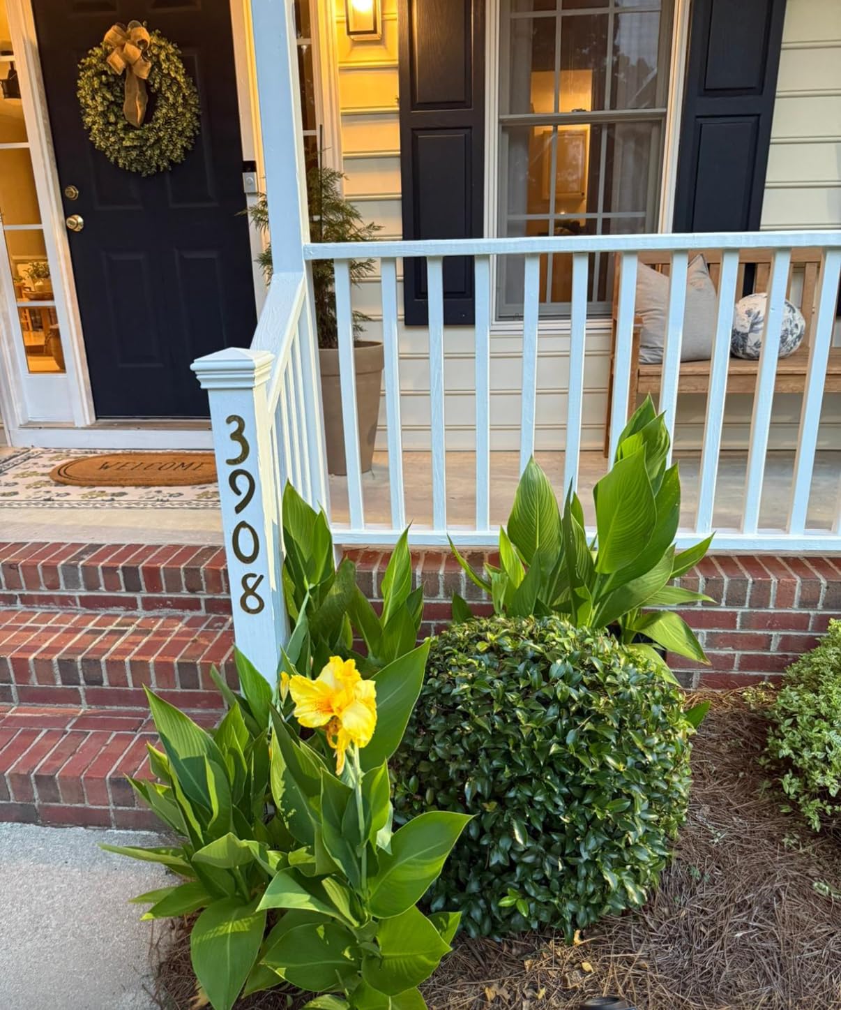 BLACK+DECKER 20V MAX Cordless Hedge Trimmer, Battery and Charger Included, 22 Inch Steel Blade Lightweight Bush Trimmer, Soft Grip, Less Vibration (LHT2220) - Customer Photo 2