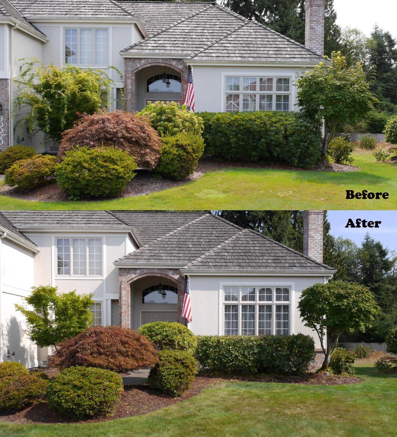 BLACK+DECKER 40V MAX Hedge Trimmer, Cordless, 24-Inch Blade, Battery and Charger Included (LHT2436) - Customer Photo 1