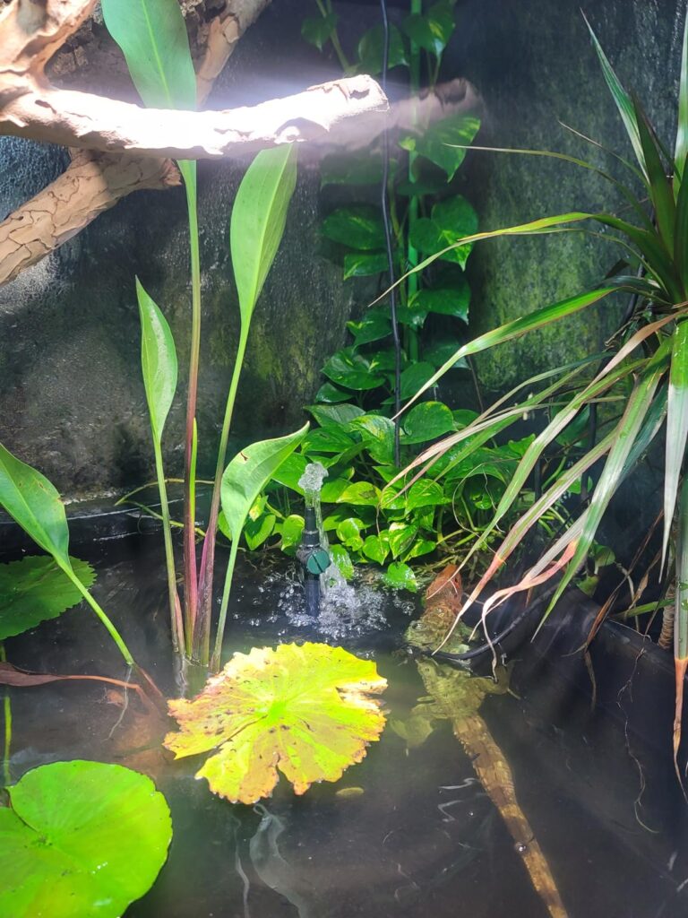 12 Best Pond Pumps and Filters