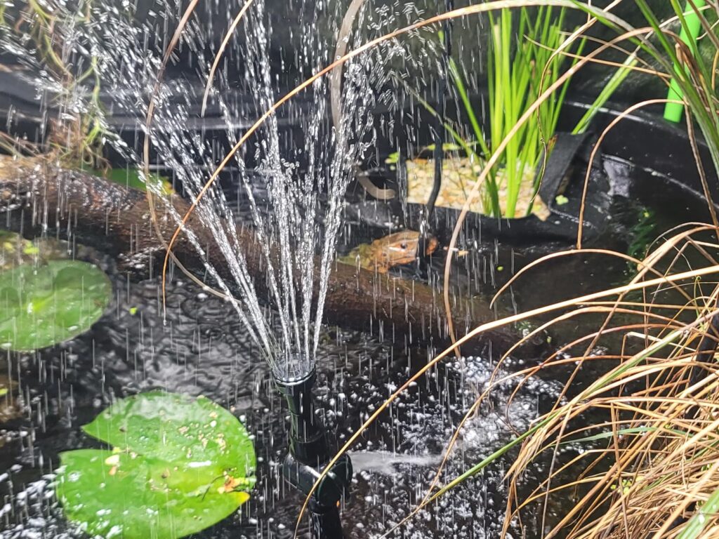 12 Best Pond Pumps and Filters