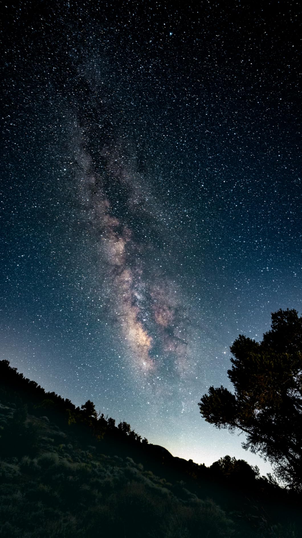 Samyang 14mm F2.8 Full Frame Ultra Wide Angle Lens for Canon-EF - Built-In AE Chip, Manual Focus, Low Distortion, Wide Aperture, Petal Hood, One Size (Black) - Customer Photo 1