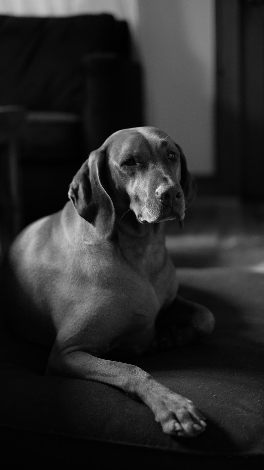 Fujifilm XF35mmF1.4 R - Customer Photo 2