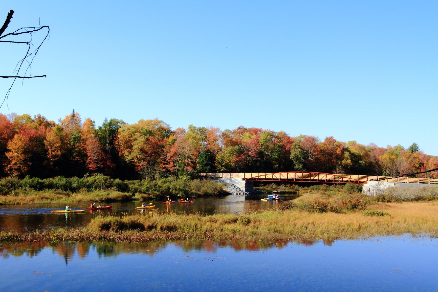 Canon EF 24-70mm f/2.8L II USM Standard Zoom Lens Black - Customer Photo 2
