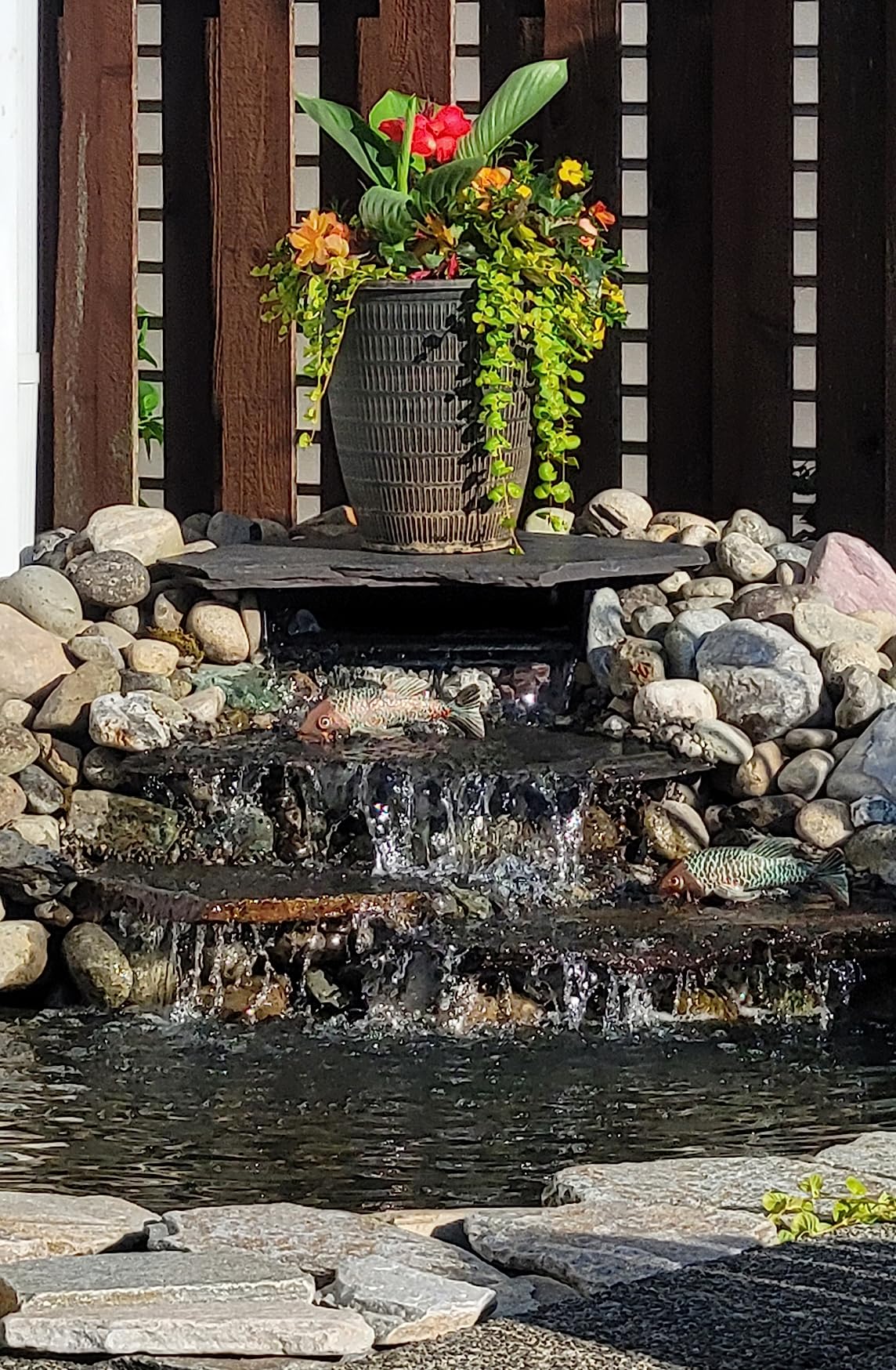 HALF OFF PONDS Simply Ponds 2,100 GPH Submersible Pump Pond Kit with 15' x 20' EPDM Rubber Pond Liner for Water Garden & Koi Pond - Customer Photo 1