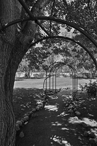 Sigma DP-1 Merrill Digital Camera with 46 Megapixel, FOVEON X3 Direct Image Sensor, Fixed 19mm f/2.8 Lens - Customer Photo 1