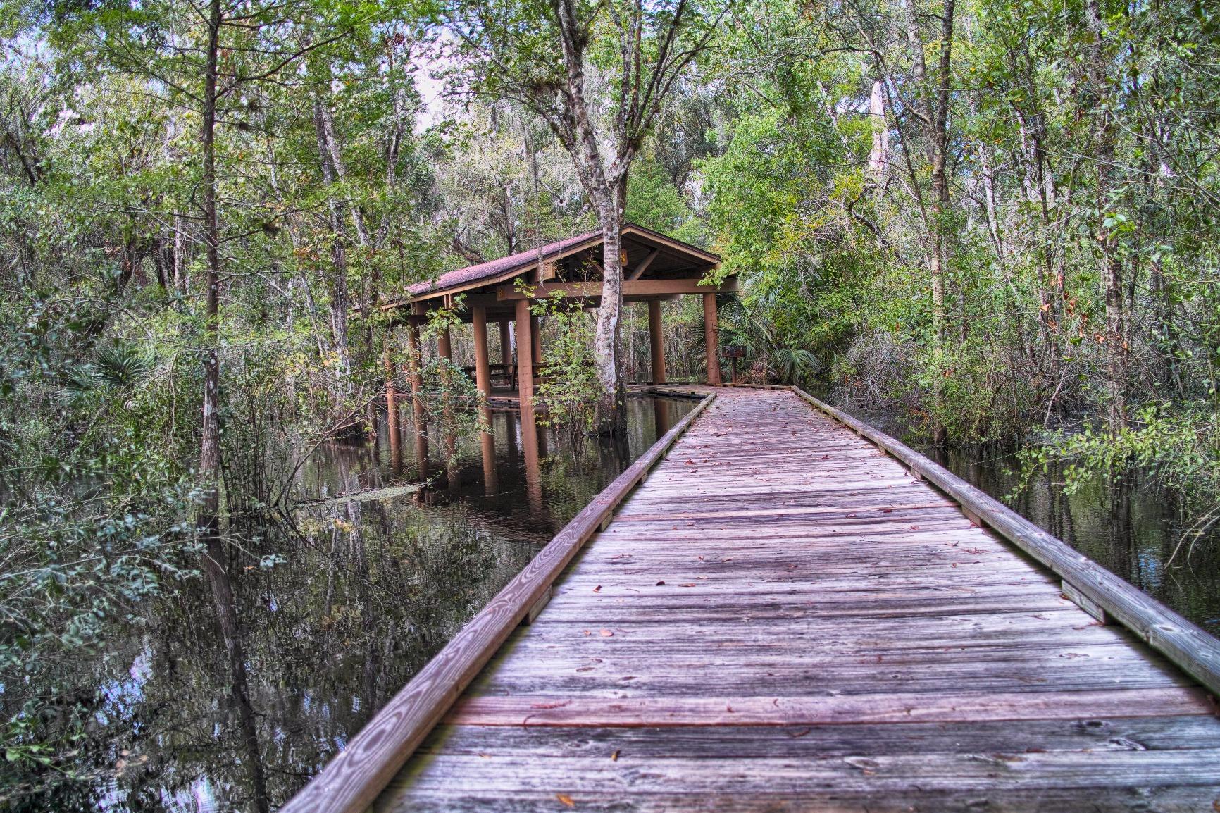 Sigma DP-1 Merrill Digital Camera with 46 Megapixel, FOVEON X3 Direct Image Sensor, Fixed 19mm f/2.8 Lens - Customer Photo 2