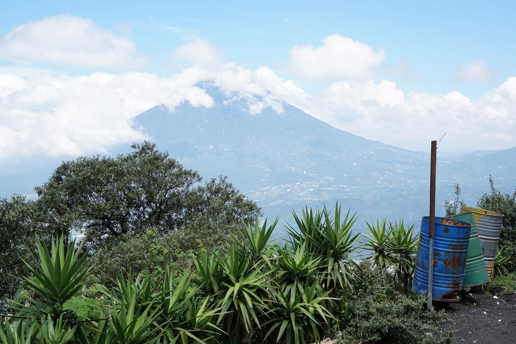 Sony SEL35F18 35mm f/1.8 Prime Fixed Lens customer photo 2