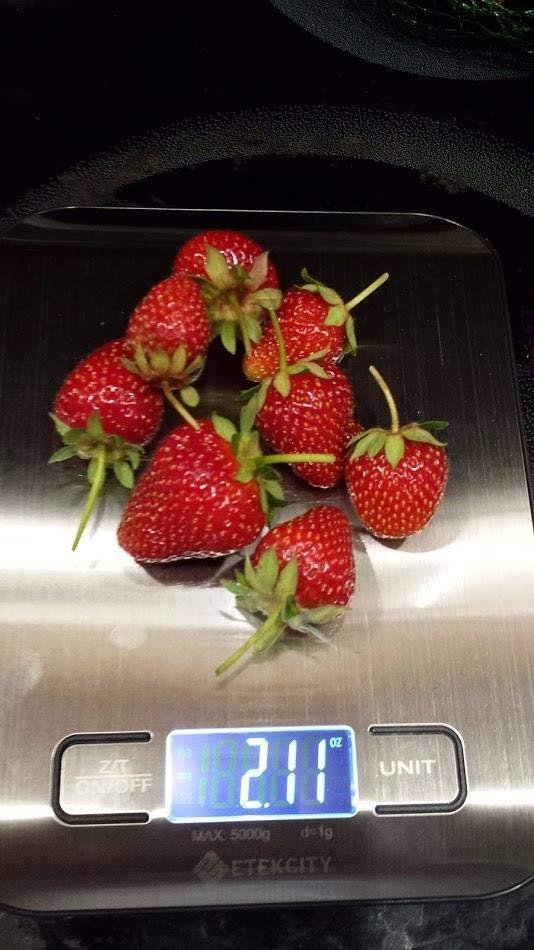 Mr. Stacky 5-Tier Strawberry Planter Pot, 5 Pots - Customer Photo 2