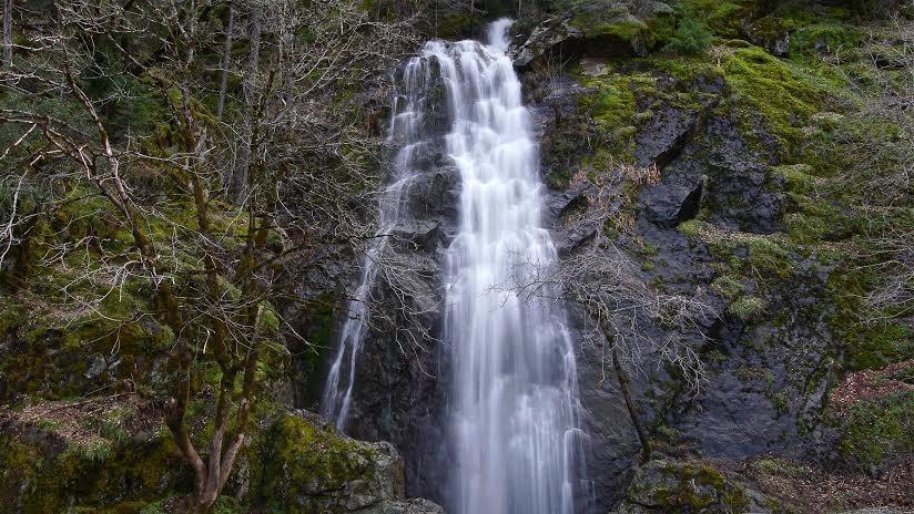 Sigma 18-35mm F1.8 Art DC HSM Lens for Canon - Customer Photo 2