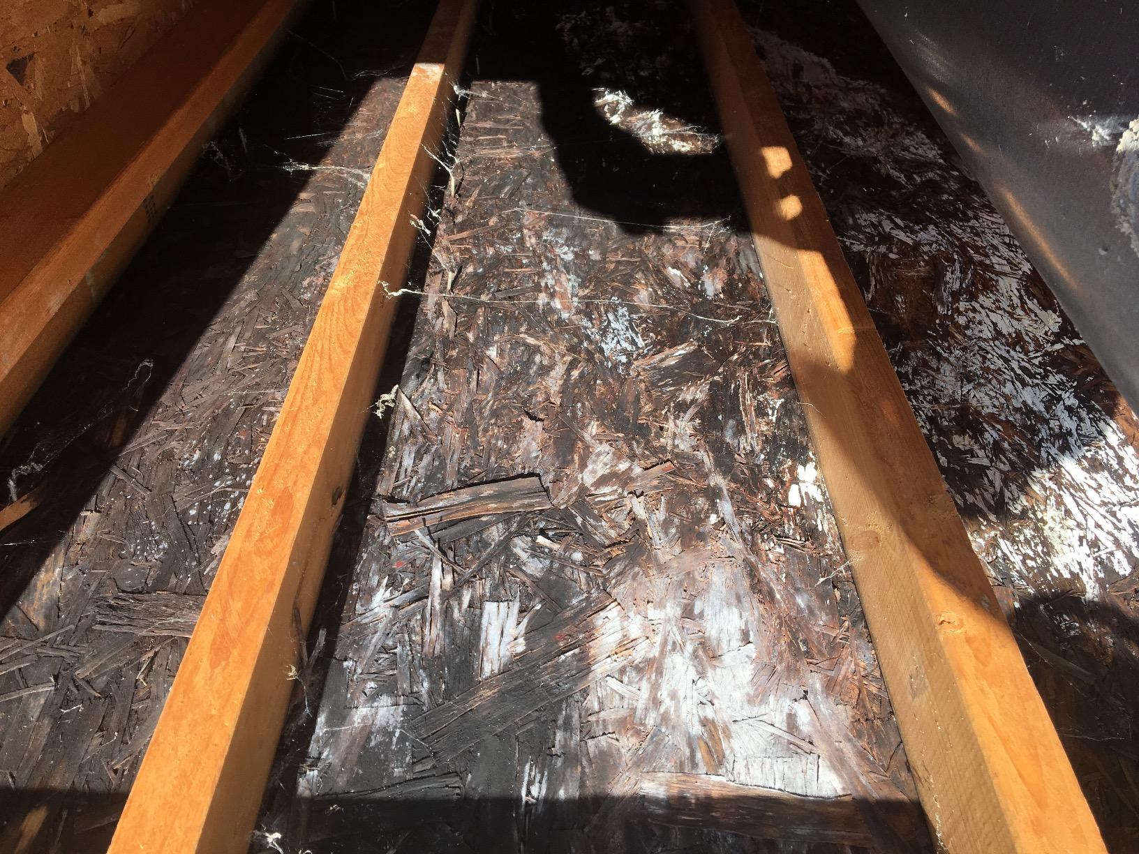 Bio Shield Antimicrobial Protection UV Light for AC System, Cleans HVAC Ducts and AC Coils of Bacteria, Germs, Mold and Allergens, Complete Unit, 50-BUVAS-E - Customer Photo 1