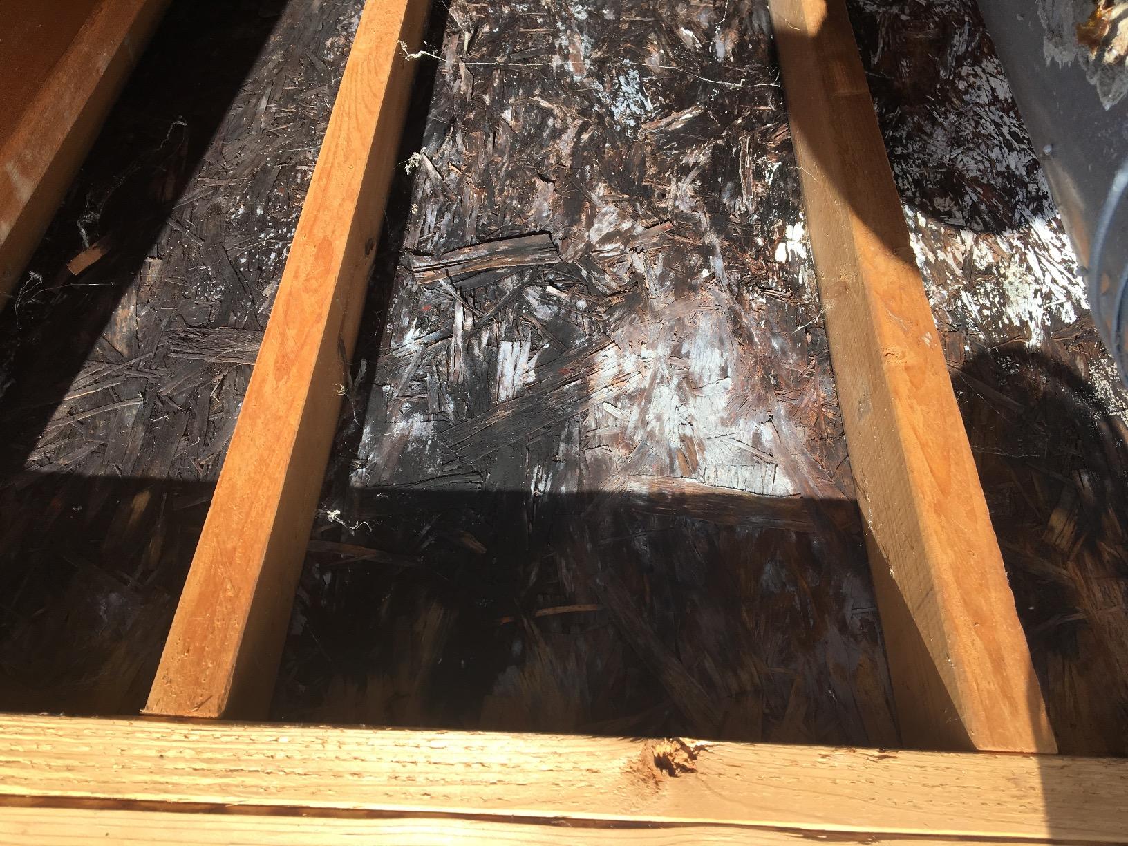 Bio Shield Antimicrobial Protection UV Light for AC System, Cleans HVAC Ducts and AC Coils of Bacteria, Germs, Mold and Allergens, Complete Unit, 50-BUVAS-E - Customer Photo 2