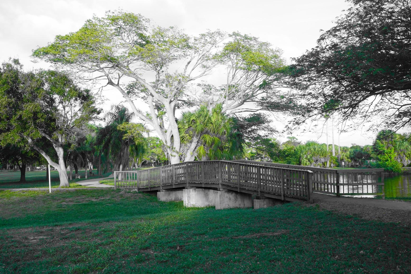 RX100 II 20.2 MP Premium Compact Digital Camera w/ 1-inch Sensor, MI (Multi-Interface) Shoe and tilt LCD Screen (DSCRX100M2/B) customer photo 2