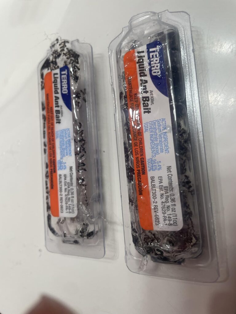 12 Best Ant Bait Stations