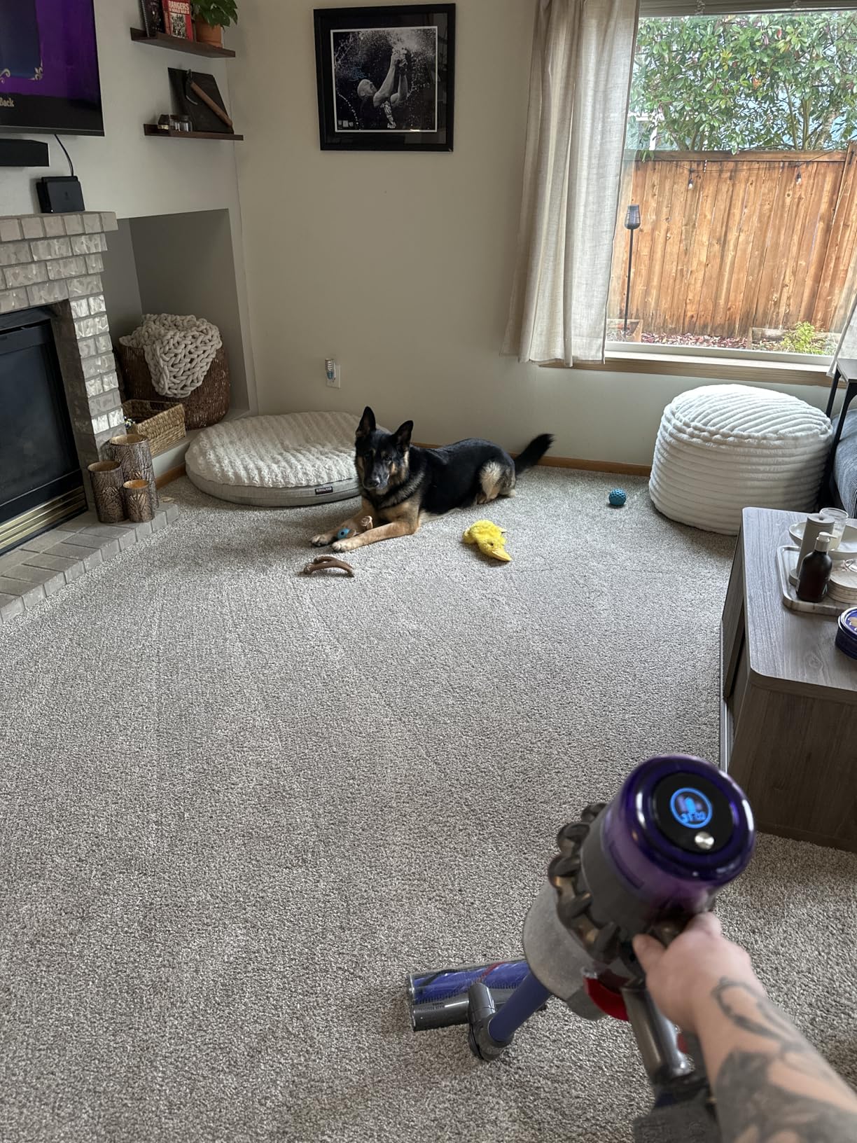Dyson V11 Origin Cordless Vacuum, 185AW, 3 Power Modes, Up to 60 Minutes - Customer Photo 1