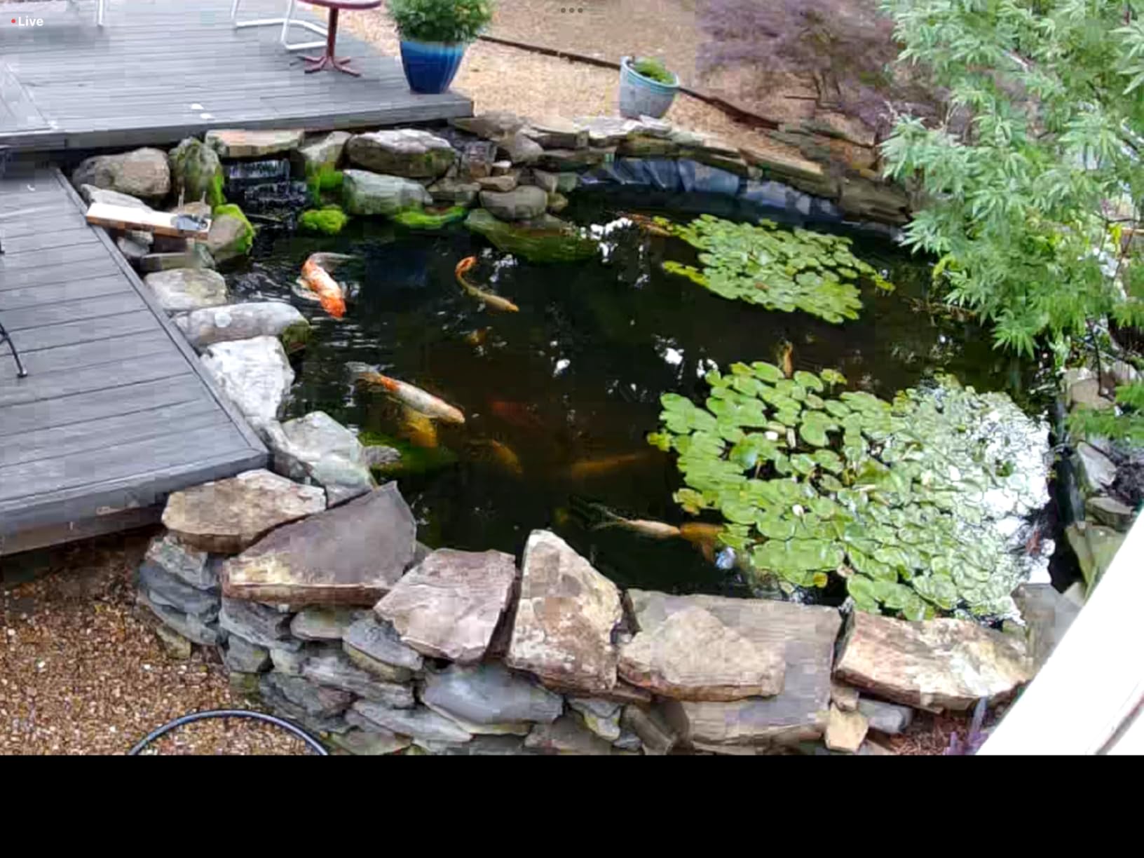 Aquascape 95053 UltraKlean 2000 Gallon Biological Pressure Filter with 14 Watt UV Clarifier Sterilizer for Pond Water Feature, 2,700 GPH Black - Customer Photo 1