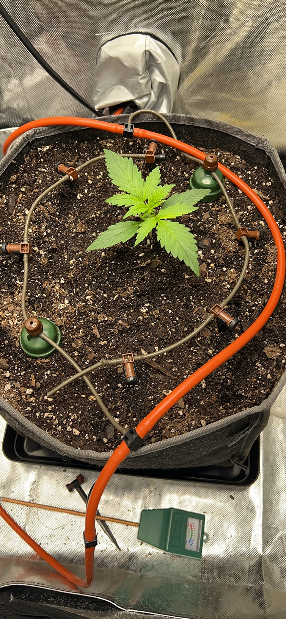 Blumat Drip Irrigation System - Tropf Deluxe Automatic Plant Watering Devices for Garden, Patio and Hanging Baskets - Universal Garden Watering System Up to 12 Plants - 12 Pack - Customer Photo 2