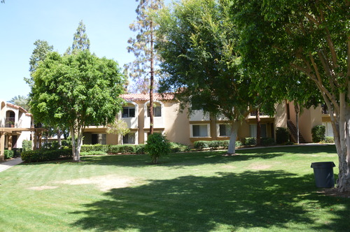 Nikon D3200 24.2 MP CMOS Digital SLR with 18-55mm f/3.5-5.6 AF-S DX NIKKOR Zoom Lens (Renewed) - Customer Photo 3