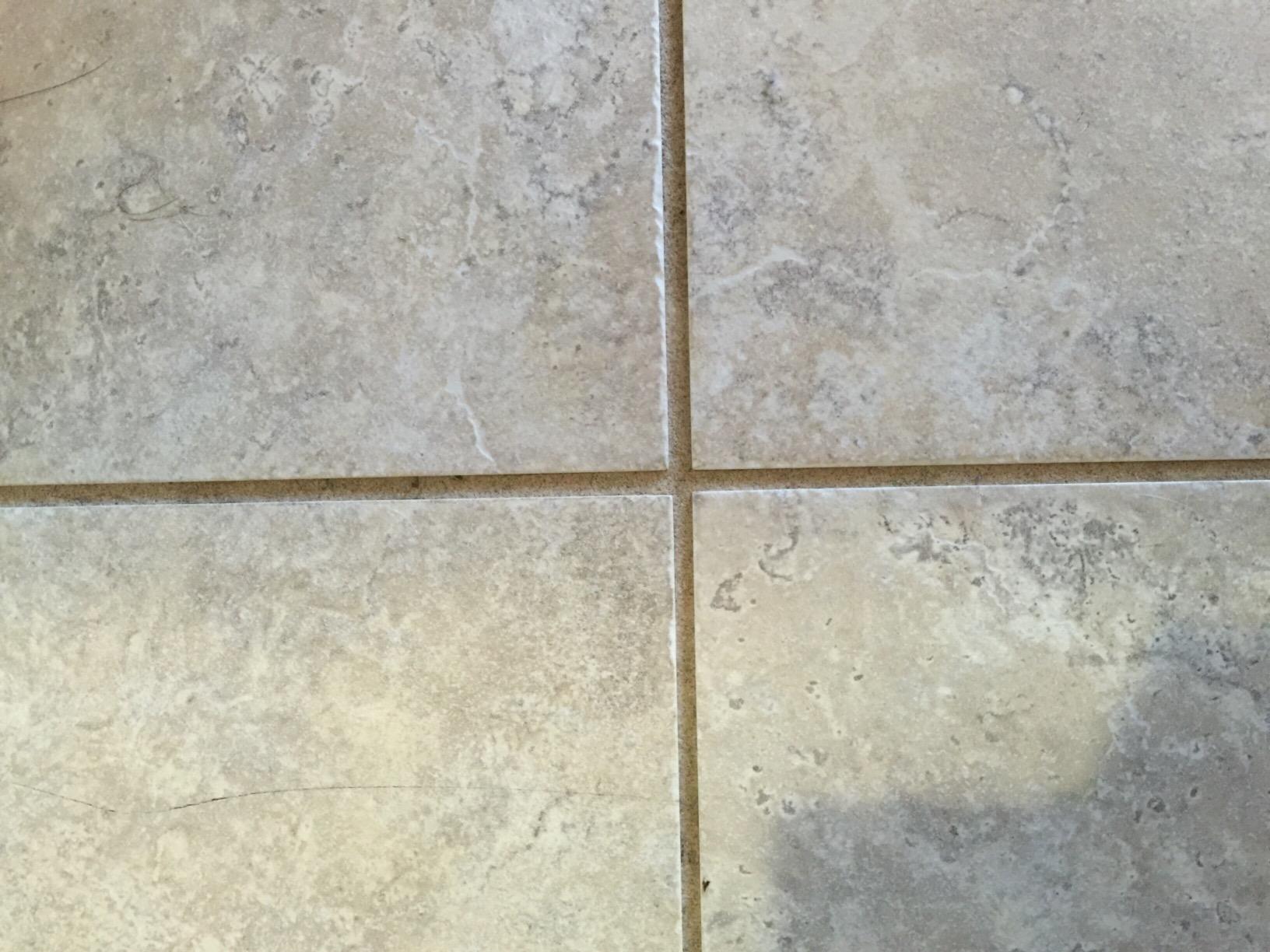 Bissell PowerFresh Pet Steam Mop, 19404, Purple - Customer Photo 1