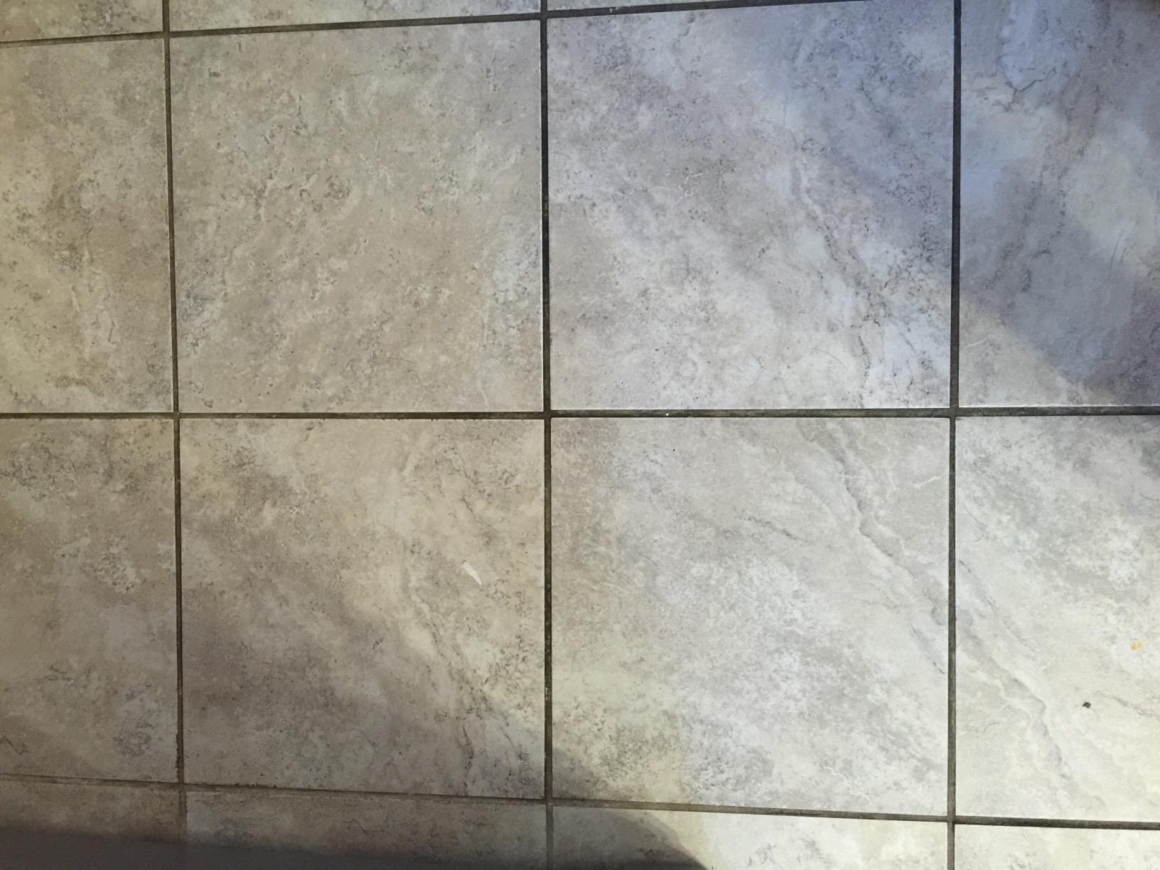 Bissell PowerFresh Pet Steam Mop, 19404, Purple - Customer Photo 2