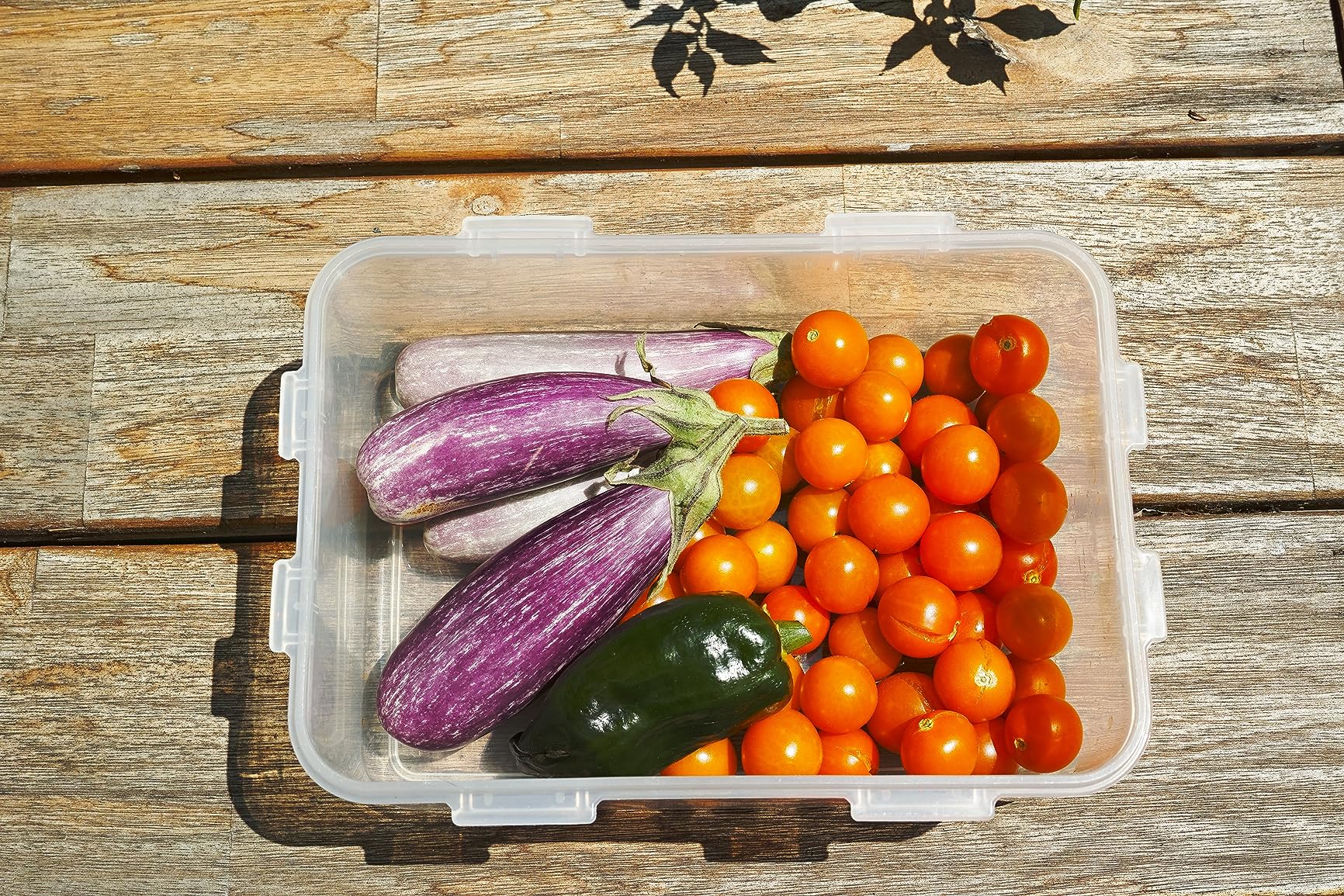 Sigma DP2 Quattro Compact Digital Camera - Customer Photo 1