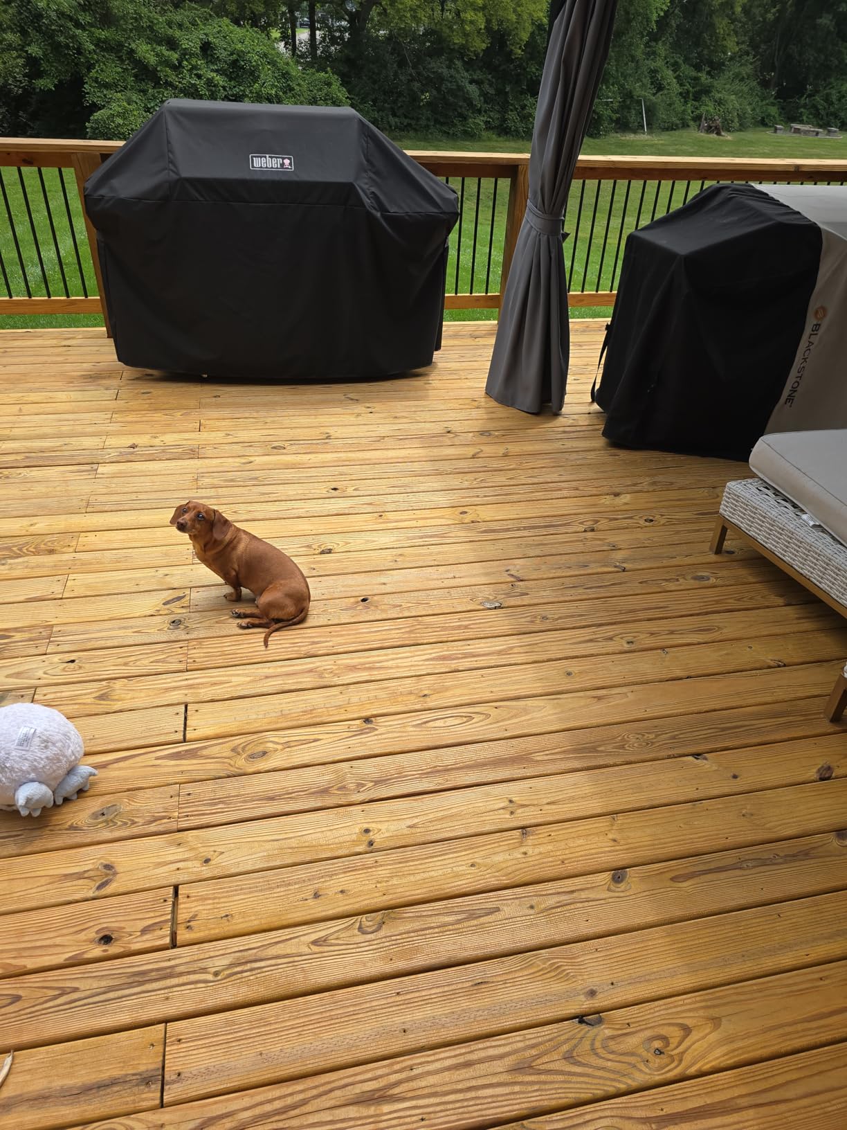 PPG ProLuxe SRD Wood Finish, 1 Gallon, 078 Natural - Customer Photo 2