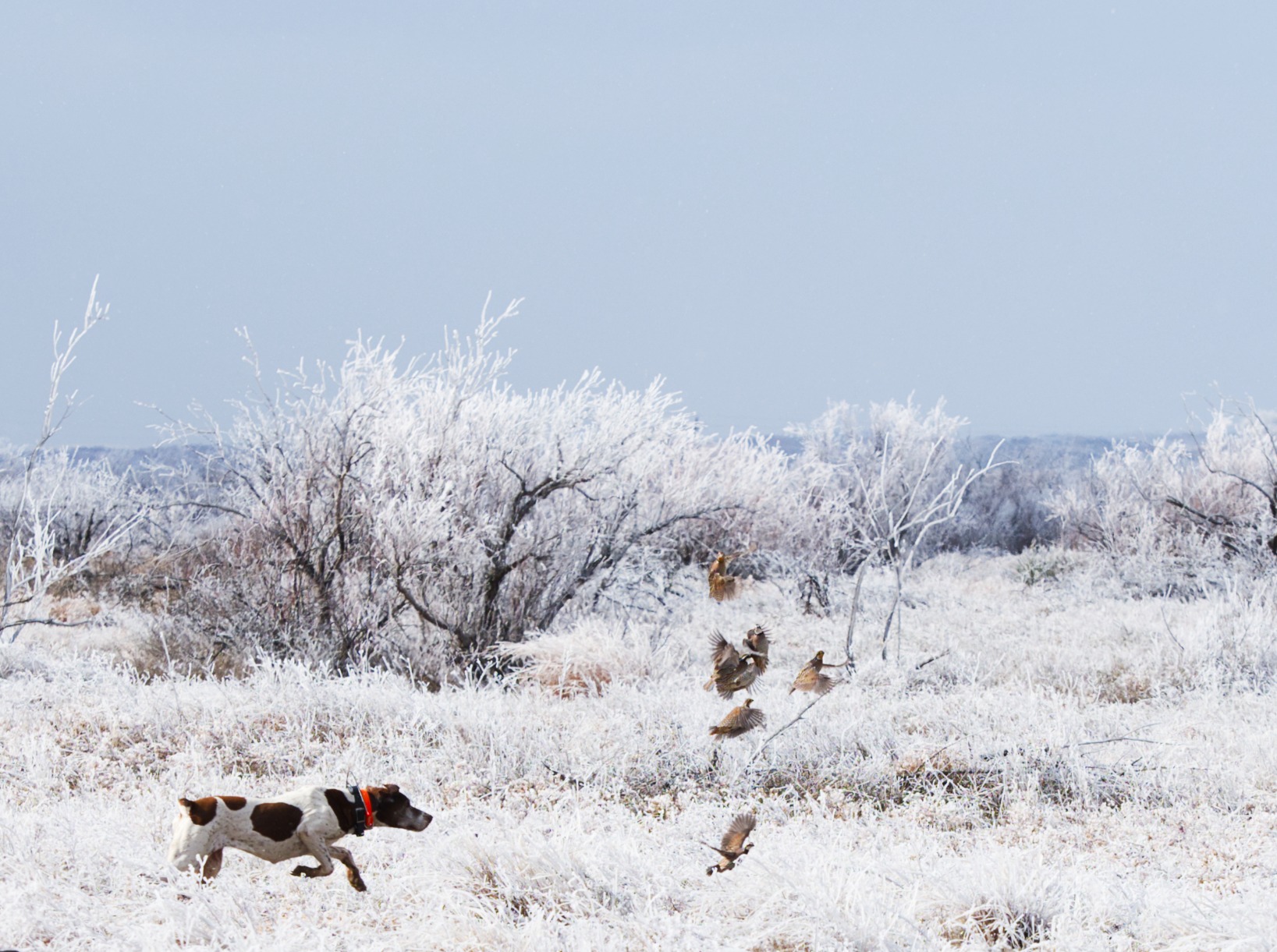 OM SYSTEM M.Zuiko Digital ED 40 to 150mm F/2.8 PRO Weatherproof Lens with Dual VCM Autofocus, Programmable L-Fn Function Button, Compatible With Teleconverter customer photo 2